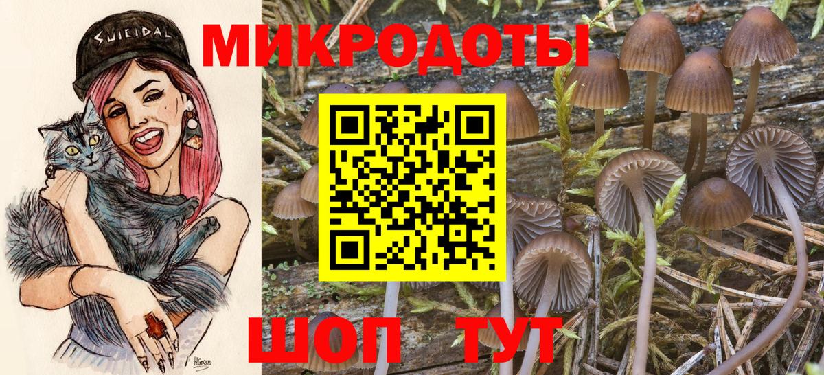 Псилоцибиновые грибы мицелий Симферополь