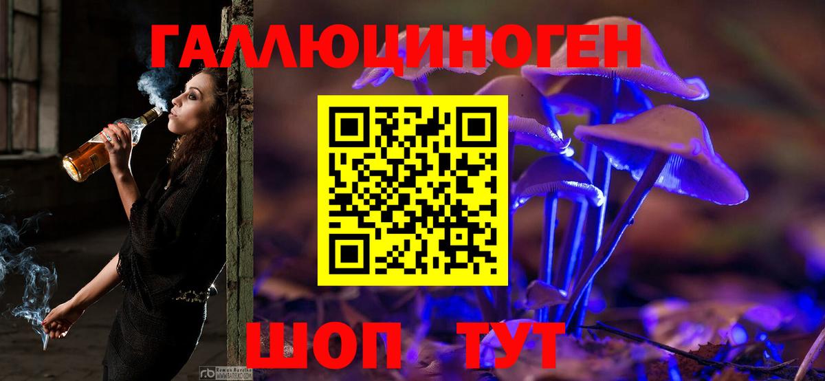Галлюциногенные грибы мицелий  Псилоцибиновые грибы прущие грибы  Вход с VPN  Симферополь 